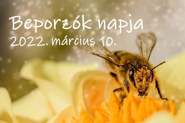 Beporzk napja 
2022. mrcius 10.